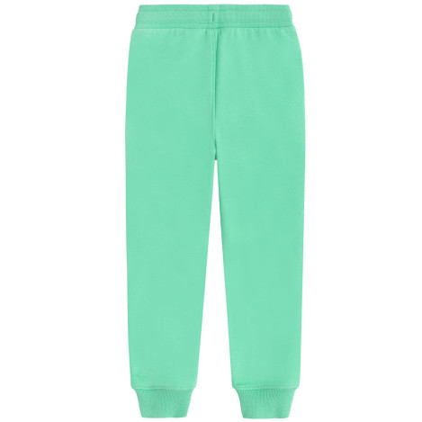 Спортен панталон, цвят: Зелен