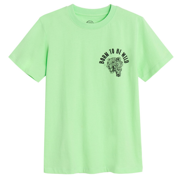 Тениска с къс ръкав, цвят: Зелен