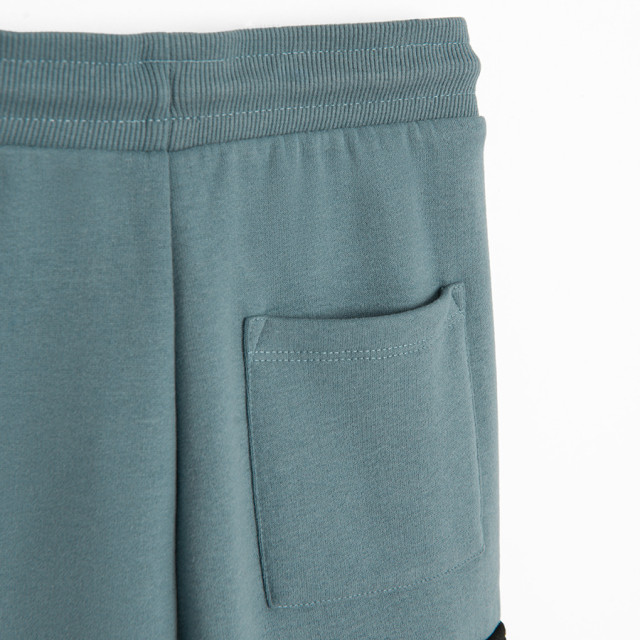 Спортен панталон, цвят: Син