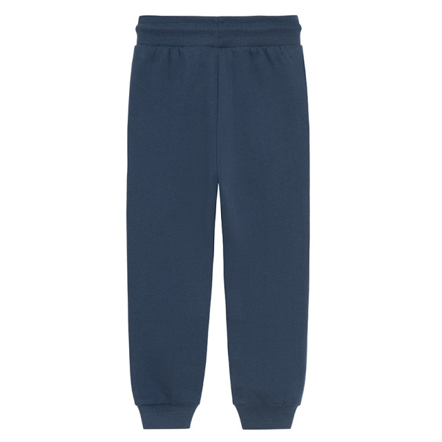 Спортен панталон, цвят: Син