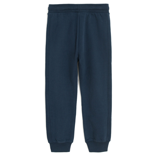 Спортен панталон, цвят: Тъмно син