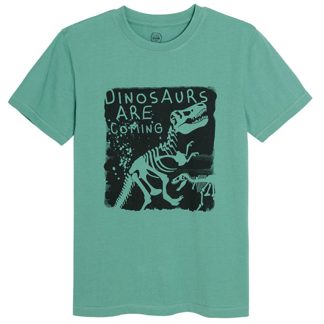 Тениска с къс ръкав, цвят: Зелен