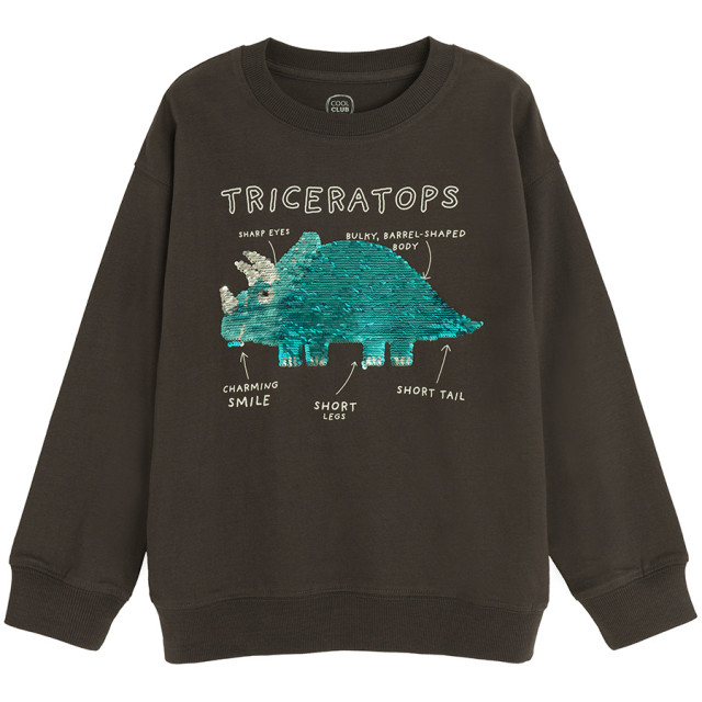 Блуза с дълъг ръкав, цвят: Кафяв