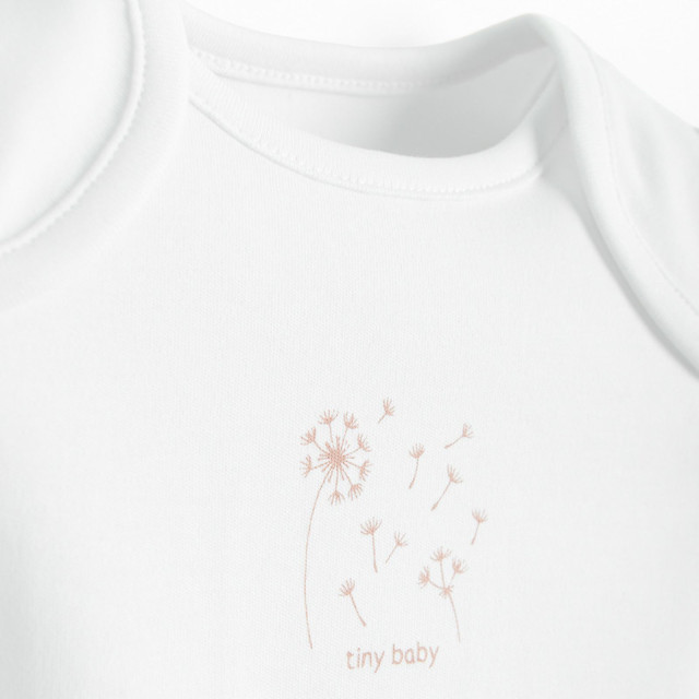 Боди с къс ръкав 4бр., цвят: Микс