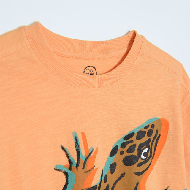 Тениска с къс ръкав, цвят: Оранжев