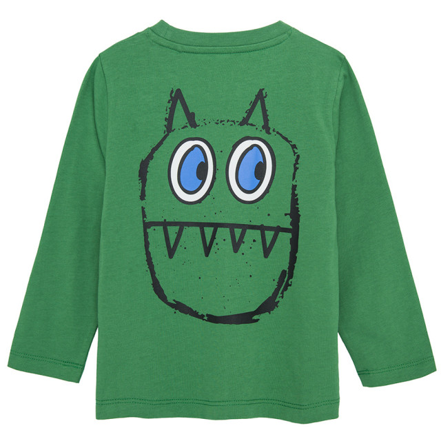 Тениска с дълъг ръкав, цвят: Зелен