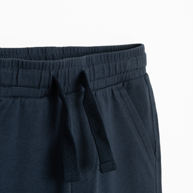 Спортен панталон, цвят: Син