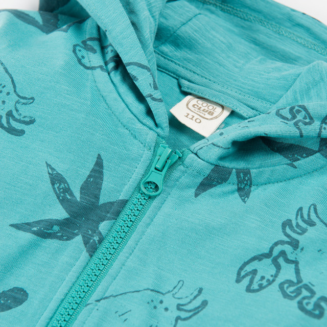 Суитчър, цвят: Тюркоазен