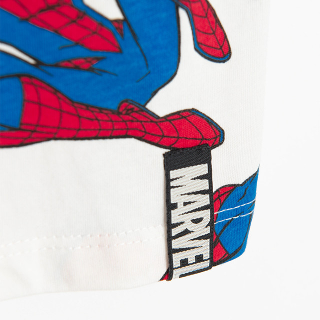 Комплект SPIDER-MAN, цвят: Микс