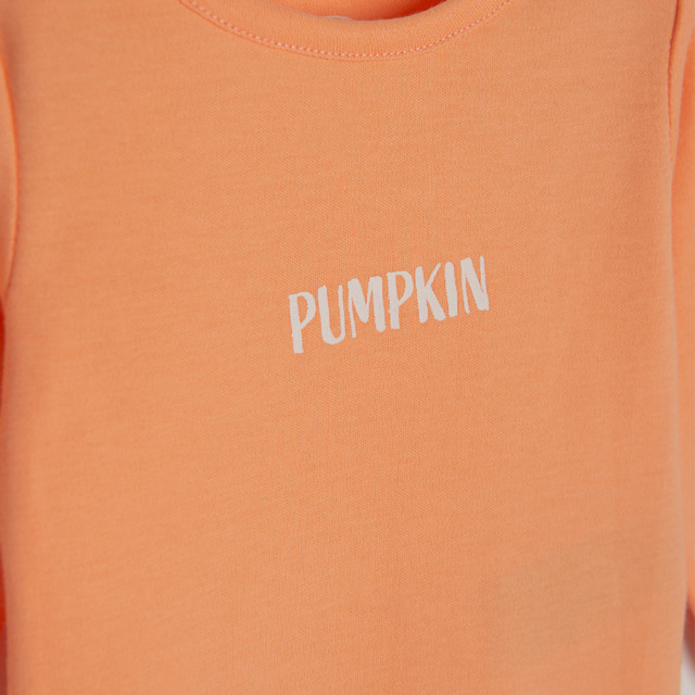 Боди с дълъг ръкав 3бр., цвят: Микс