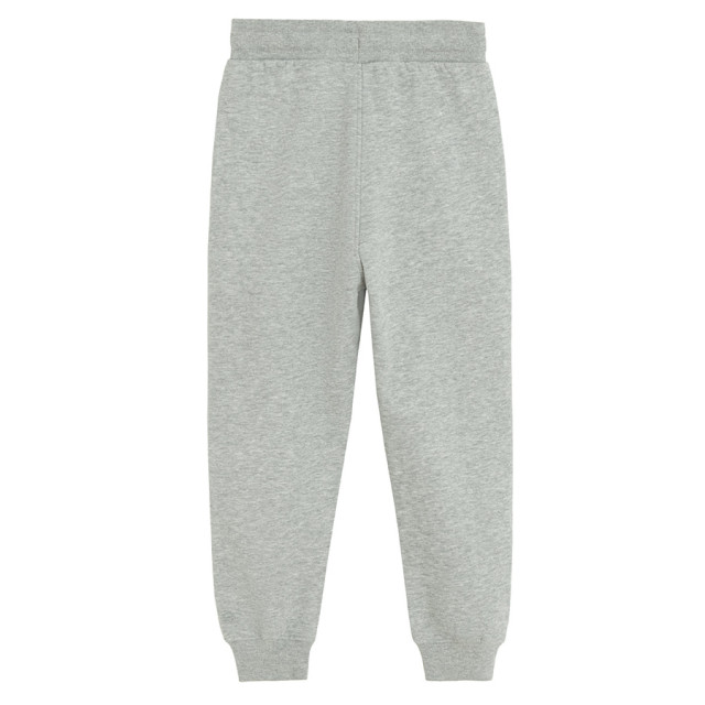 Спортен панталон, цвят: Сив меланж