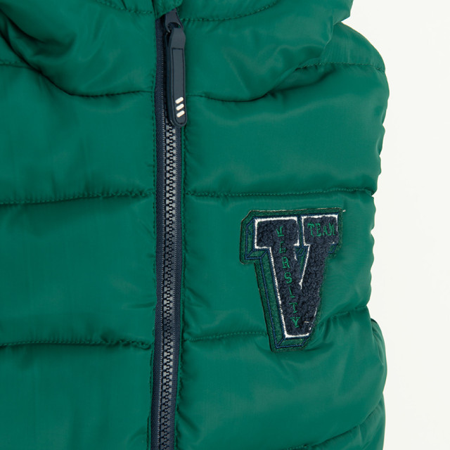 Елек, цвят: Зелен