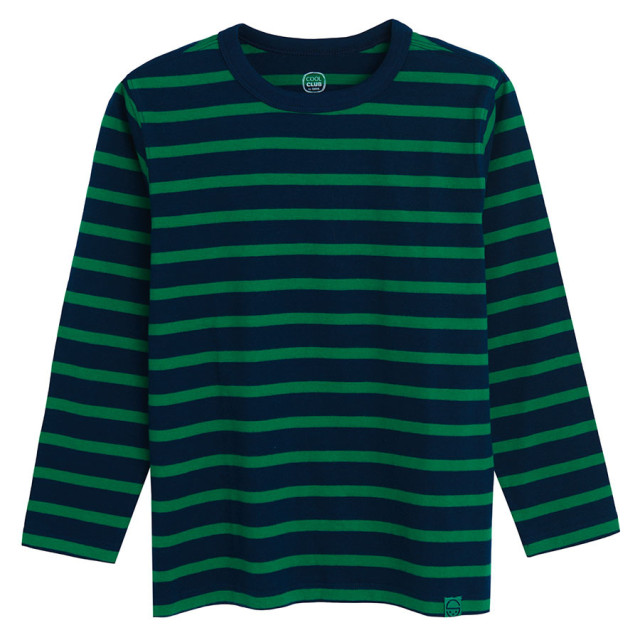 Тениска с дълъг ръкав, цвят: Зелен