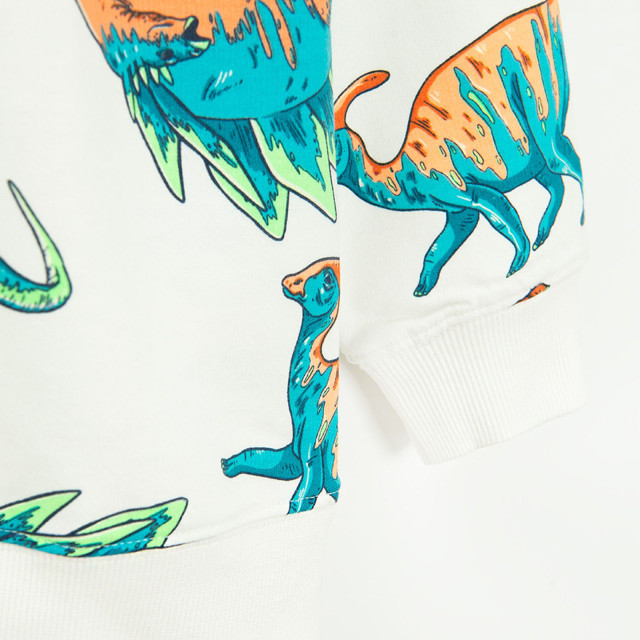 Блуза с дълъг ръкав, цвят: Мръсно бял