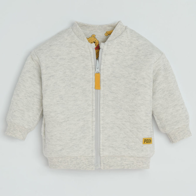 Блуза с дълъг ръкав WINNIE THE POOH, цвят: Сив меланж