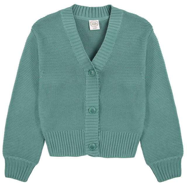 Жилетка, цвят: Тюркоазен