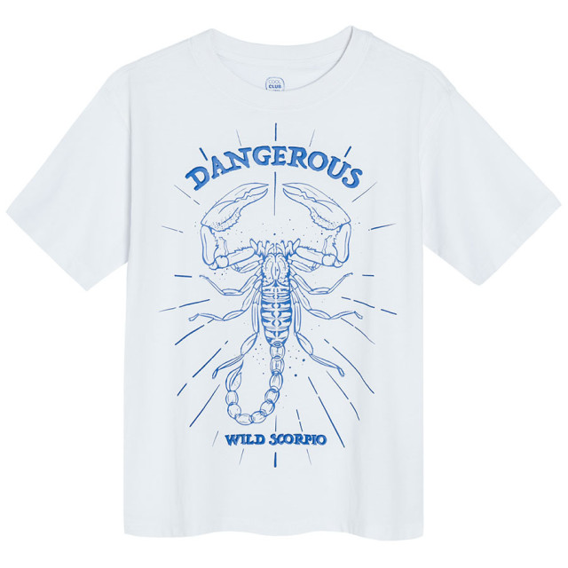 Тениска с къс ръкав, цвят: Бял