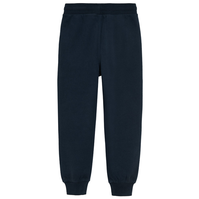 Спортен панталон, цвят: Син