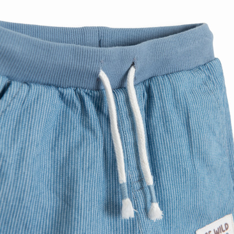 Шорти, цвят: Син