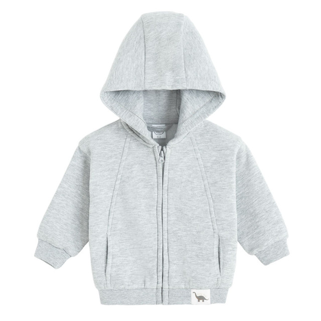 Суитчър, цвят: Сив