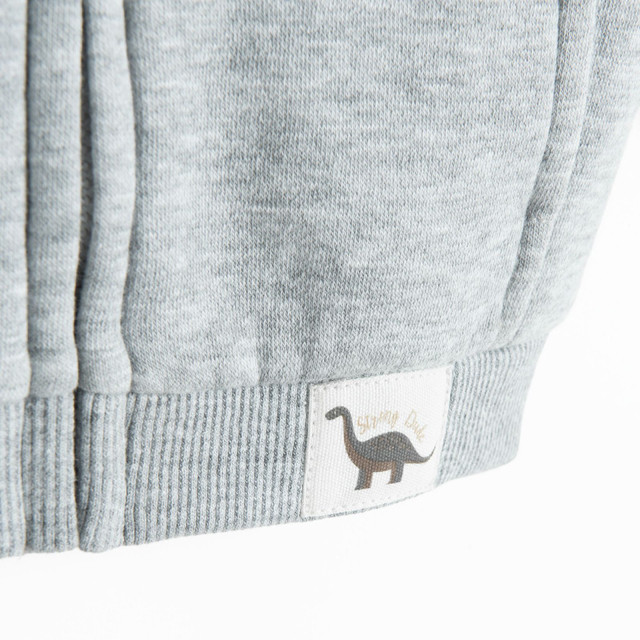 Суитчър, цвят: Сив