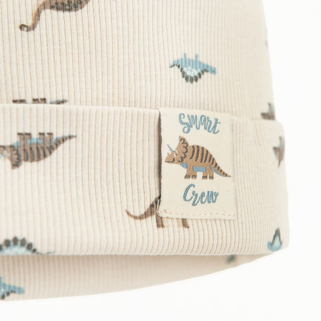 Шапка, цвят: Бежов