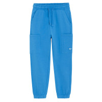 Спортен панталон, цвят: Син