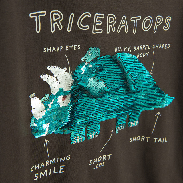 Блуза с дълъг ръкав, цвят: Кафяв