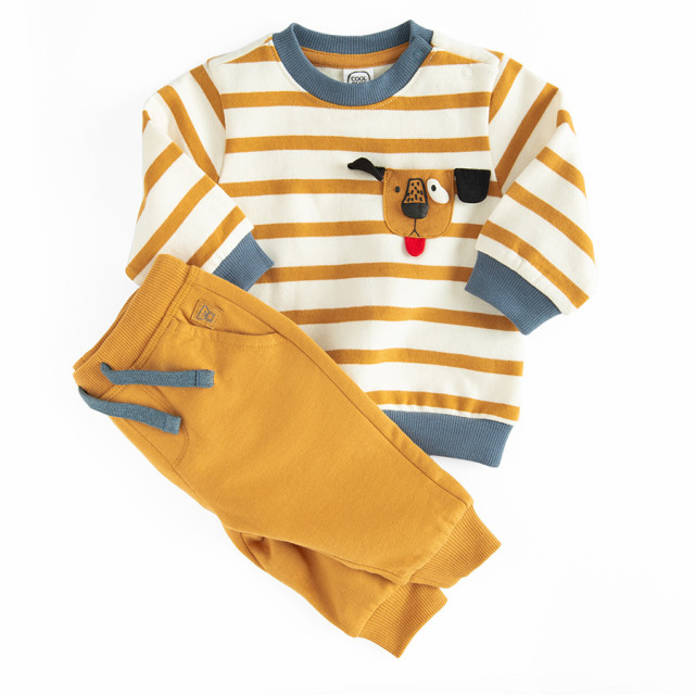 Спортен комплект 2бр., цвят: Микс