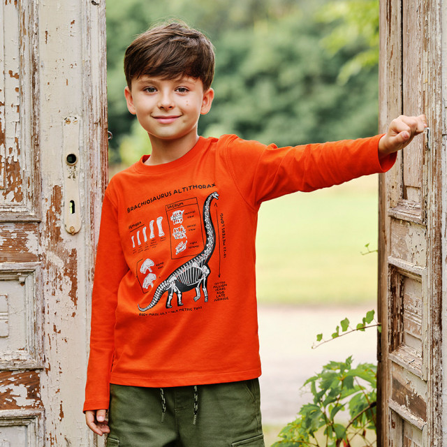 Тениска с дълъг ръкав, цвят: Червен