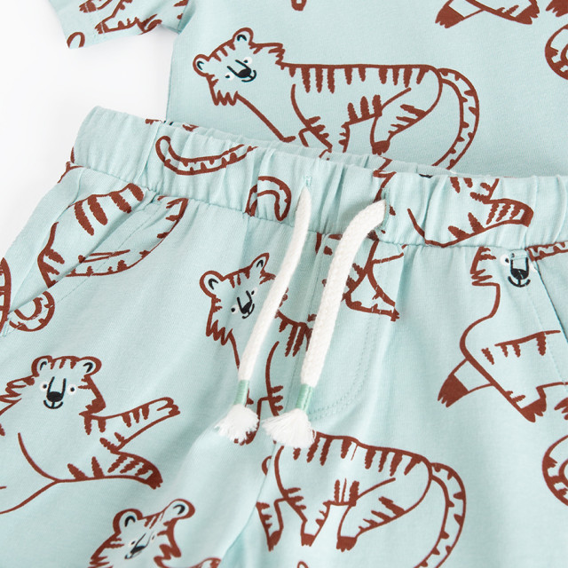 Комплект, цвят: Тюркоазен