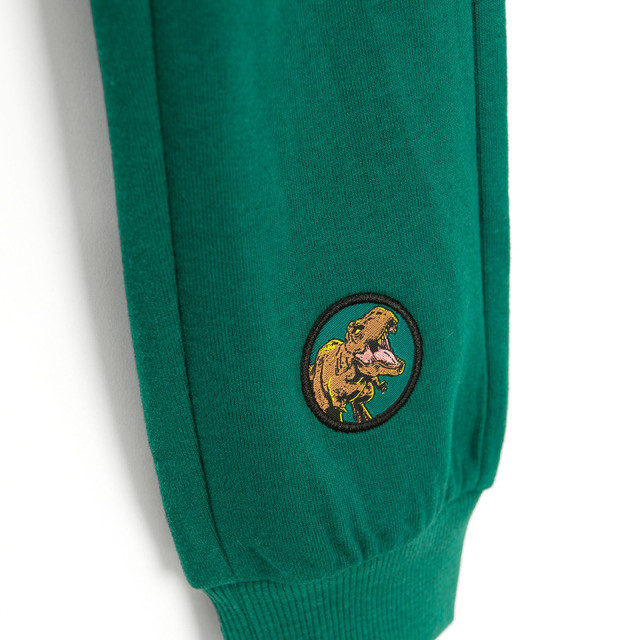 Спортен панталон JURASSIC WORLD, цвят: Зелен