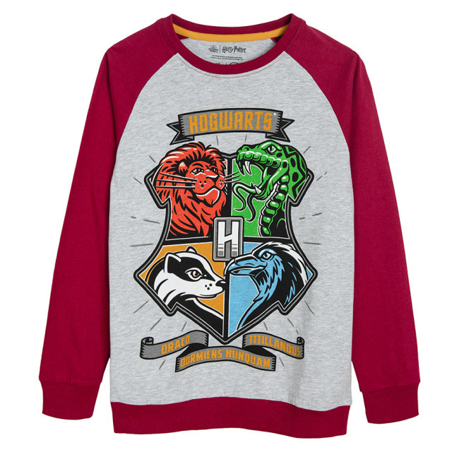 Пижама HARRY POTTER, цвят: Микс