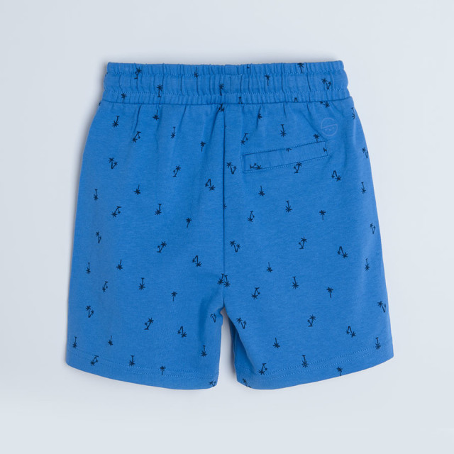Шорти, цвят: Син