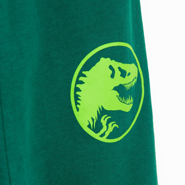 Спортен панталон JURASSIC WORLD, цвят: Зелен