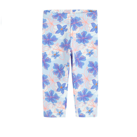 Клин, цвят: Син