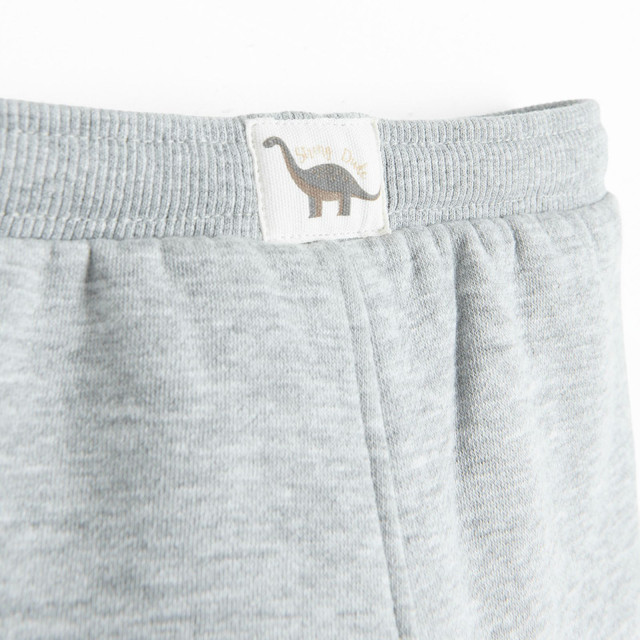 Спортен панталон, цвят: Сив