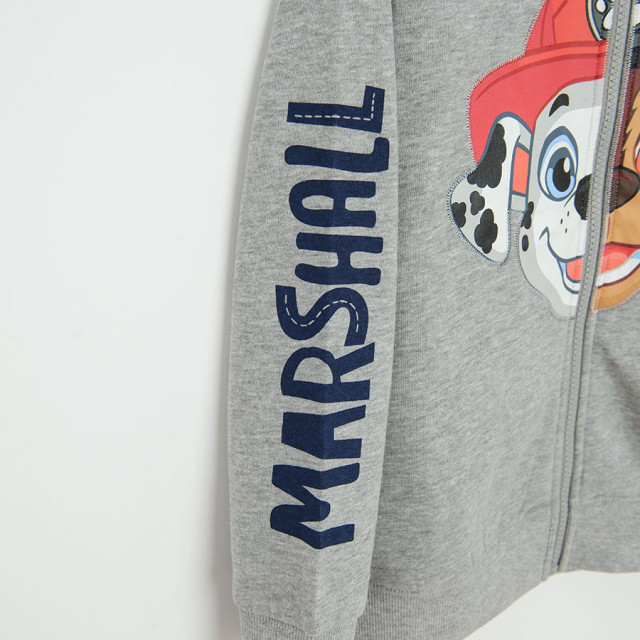 Блуза с дълъг ръкав PAW PATROL, цвят: Сив меланж