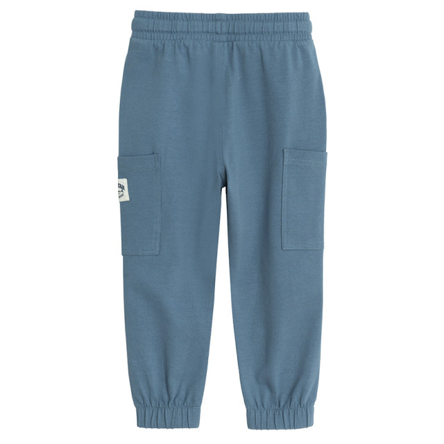 Спортен панталон, цвят: Син