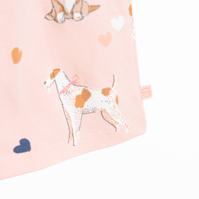 Комплект, цвят: Микс