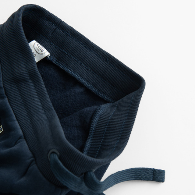 Спортен панталон, цвят: Син