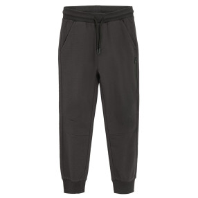 Спортен панталон, цвят: Антрацит