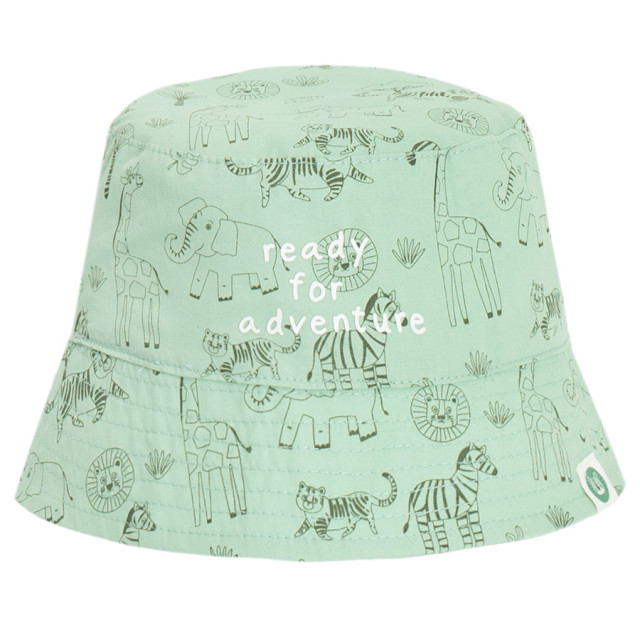 Шапка, цвят: Зелен