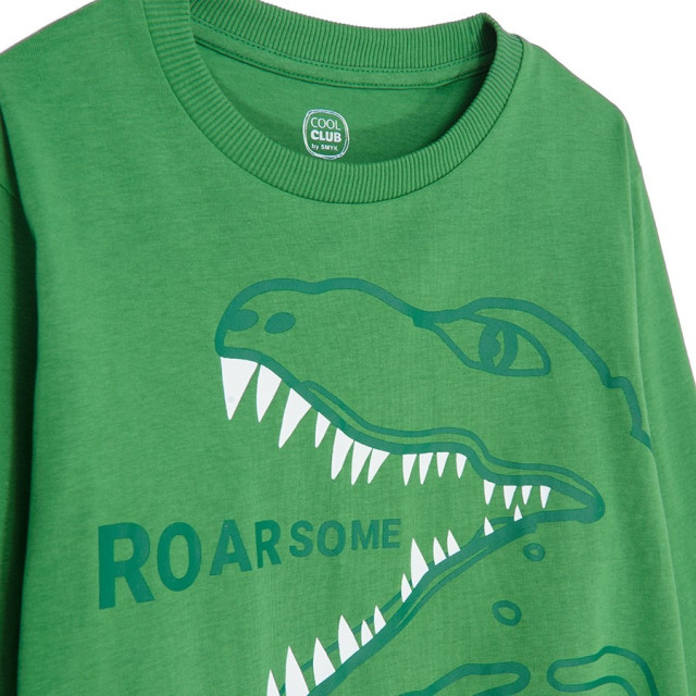 Тениска с дълъг ръкав, цвят: Зелен