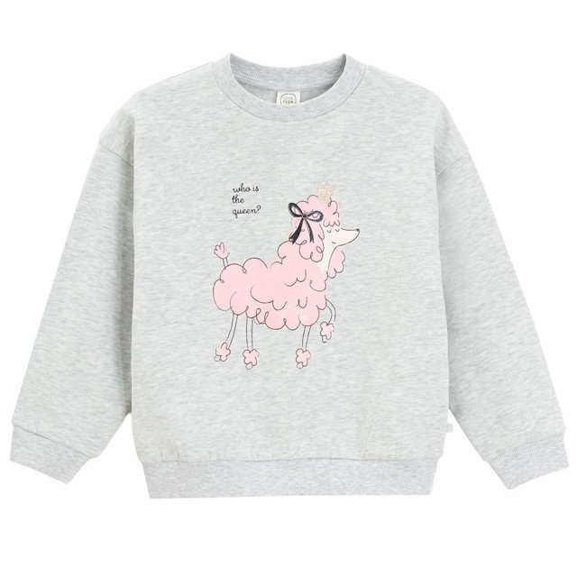 Блуза с дълъг ръкав, цвят: Сив