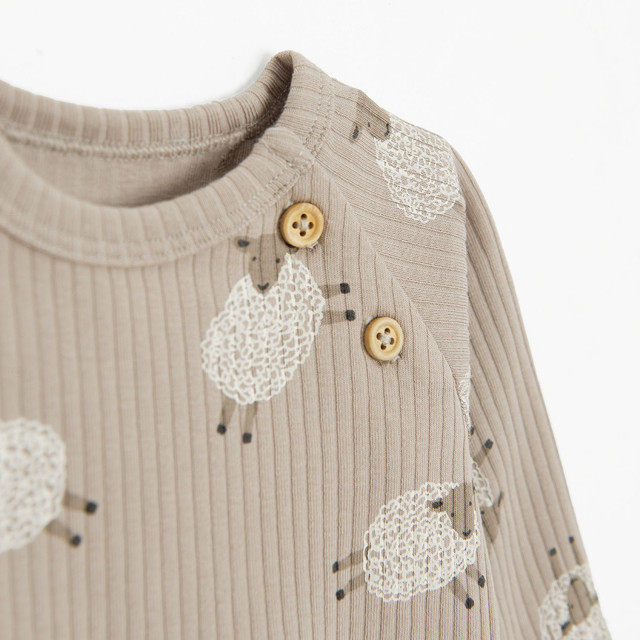 Комплект, цвят: Кафяв