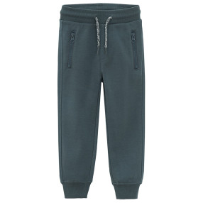 Спортен панталон, цвят: Син