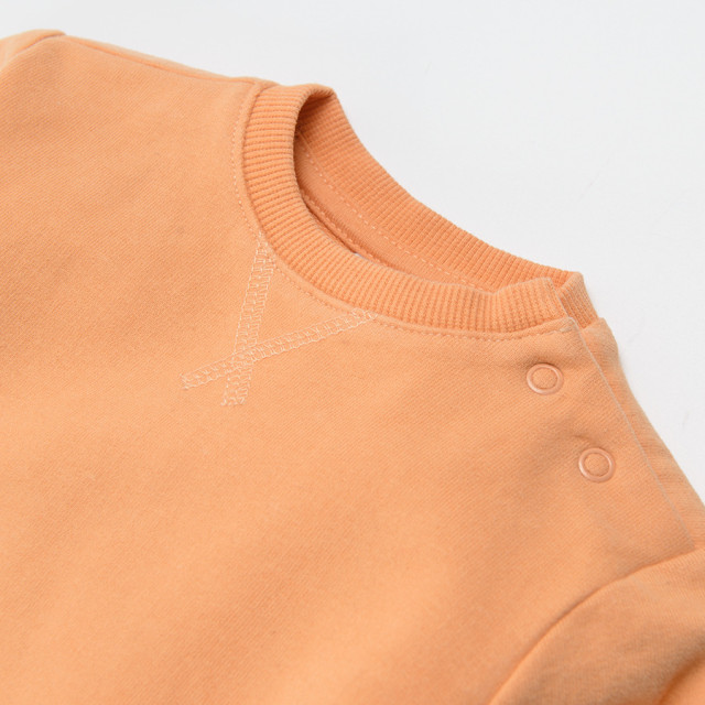 Блуза с дълъг ръкав, цвят: Оранжев