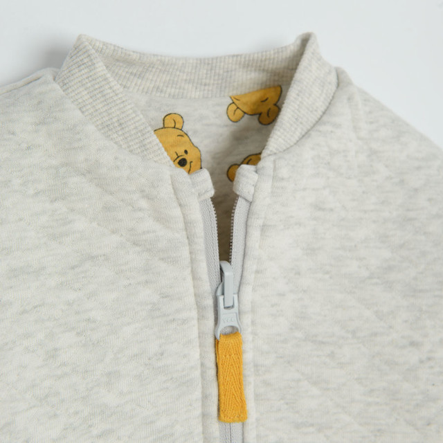 Блуза с дълъг ръкав WINNIE THE POOH, цвят: Сив меланж