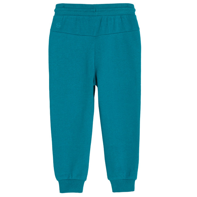 Спортен панталон, цвят: Тюркоазен